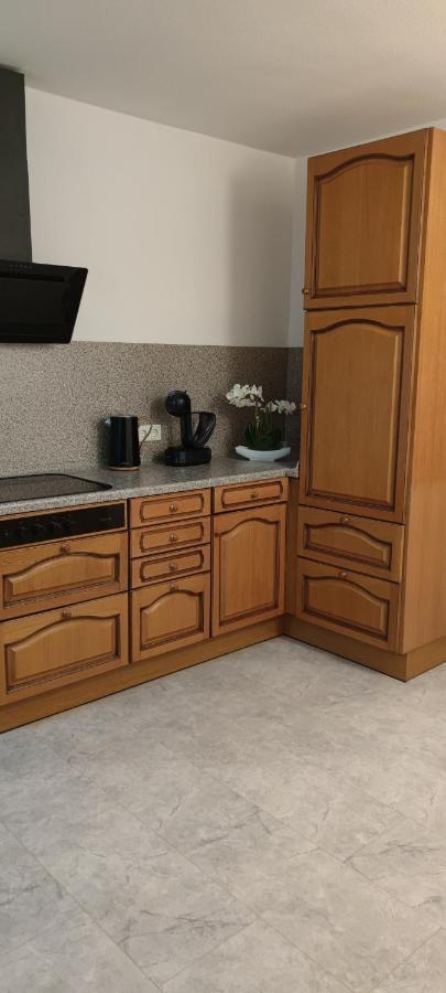 Schoene Und Optimal Gelegene Wohnung Og Weisskirchen المظهر الخارجي الصورة