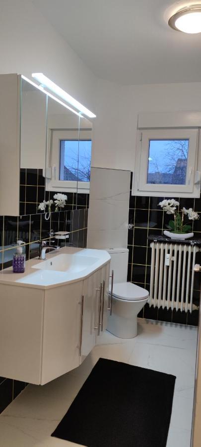 Schoene Und Optimal Gelegene Wohnung Og Weisskirchen المظهر الخارجي الصورة